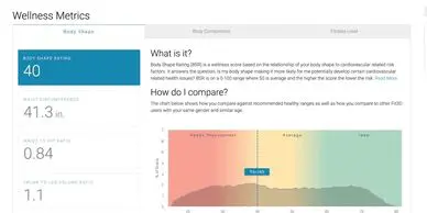 A screenshot of the body composition analysis tool.